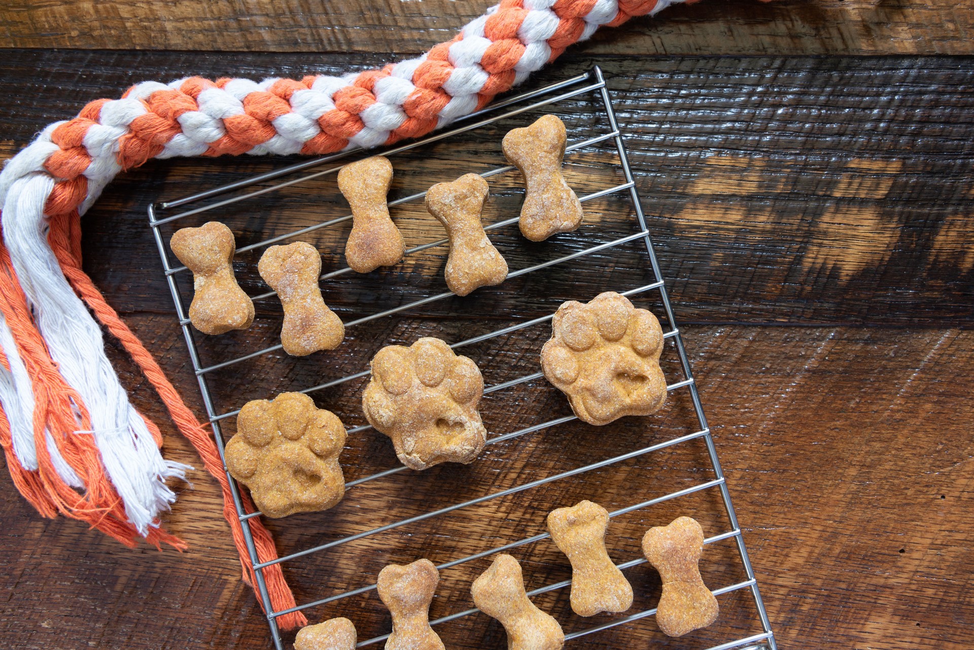 Paw print and bone shaped dog biscuits.